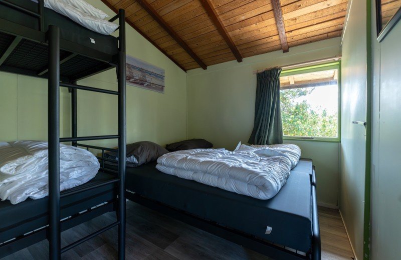 Dm de lepelaar comp 074