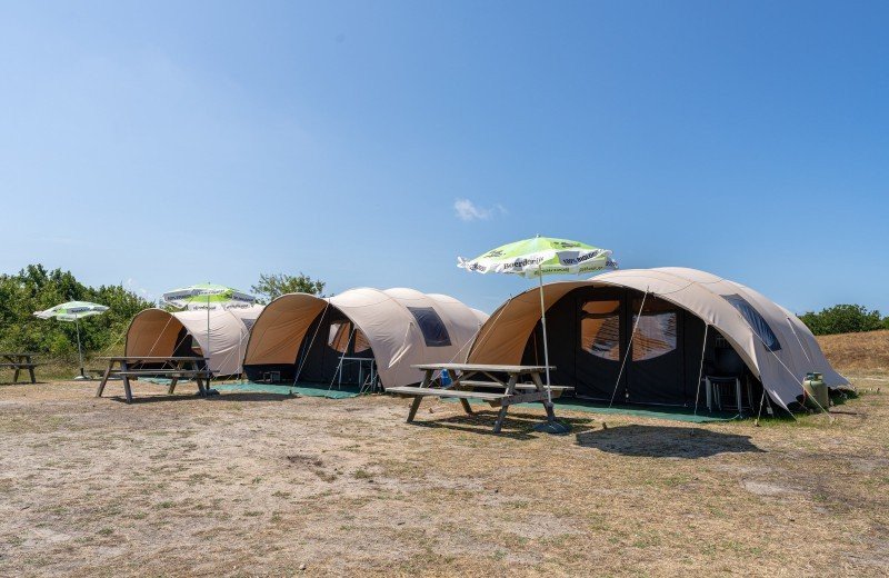 Dm de lepelaar comp 092