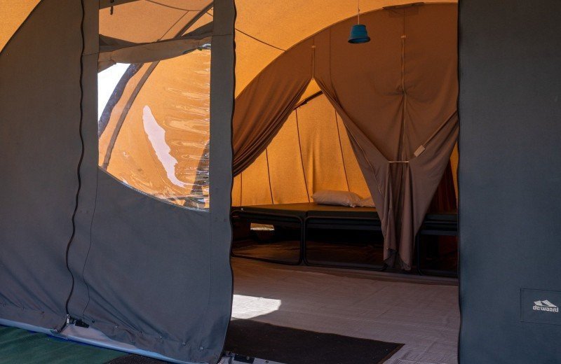 Dm de lepelaar comp 093