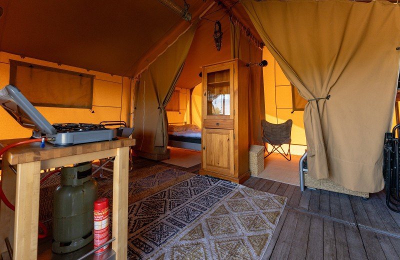 Dm de lepelaar comp 131