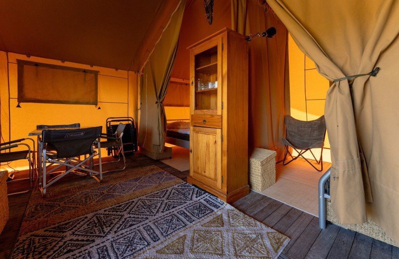 Dm de lepelaar comp 132