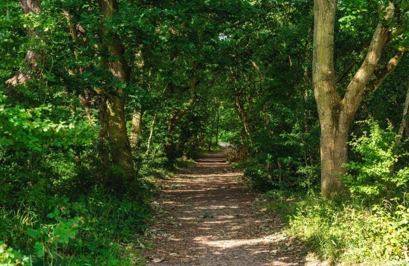 Dm de nollen comp 049