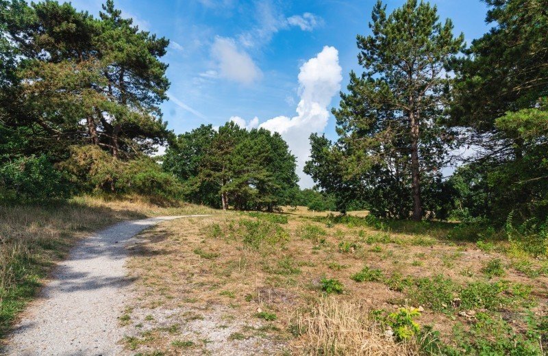 Naturschutzgebiet Luttickduin
